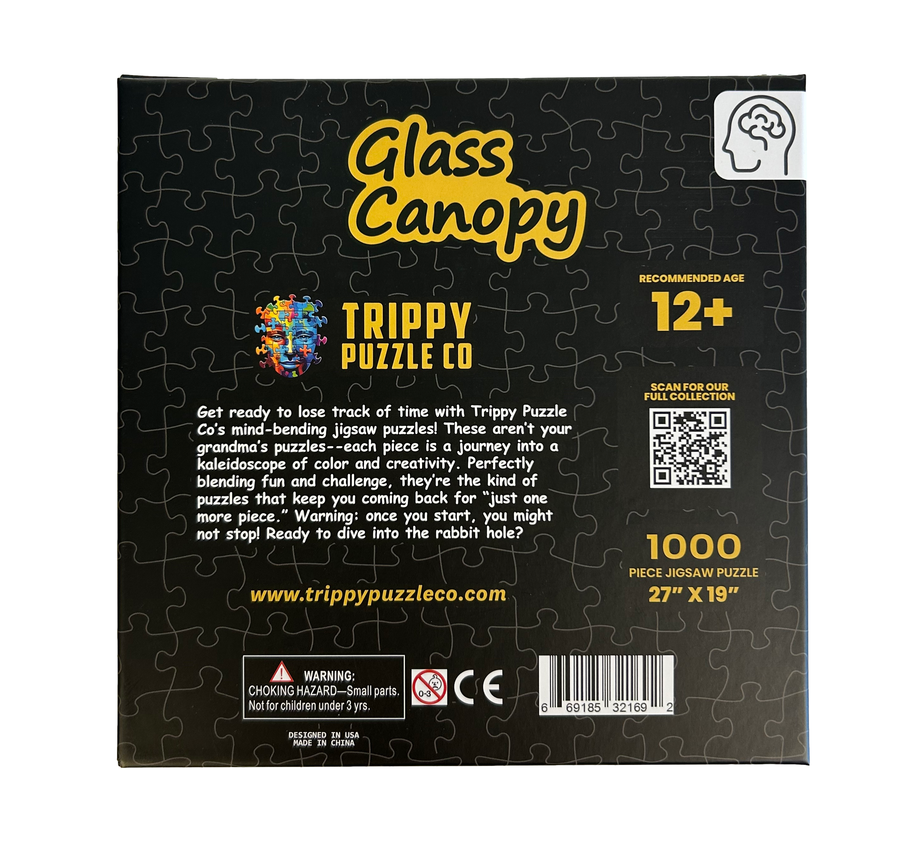 Glass Canopy