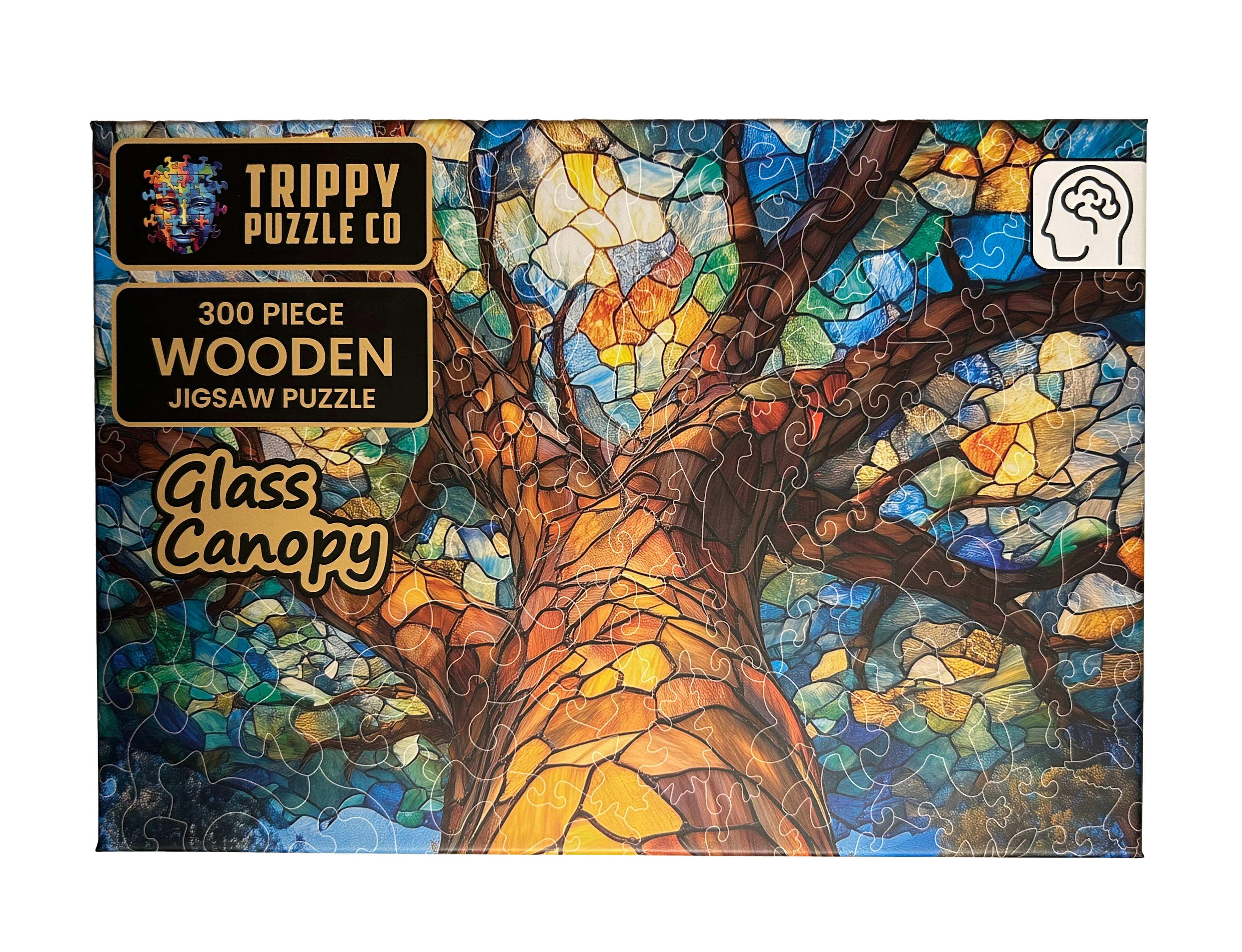 Glass Canopy Wooden